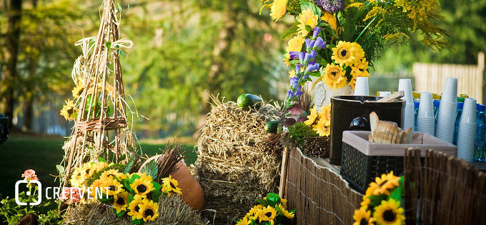 Piknik firmowy – przepis na udaną imprezę: catering